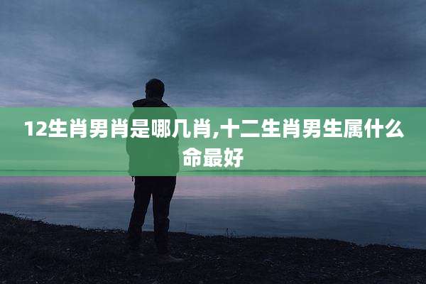 12生肖男肖是哪几肖,十二生肖男生属什么命最好