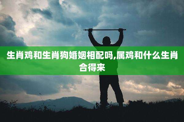 生肖鸡和生肖狗婚姻相配吗,属鸡和什么生肖合得来