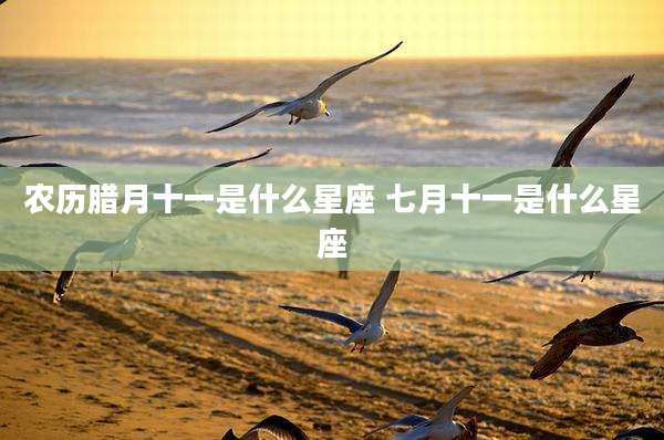 农历腊月十一是什么星座 七月十一是什么星座
