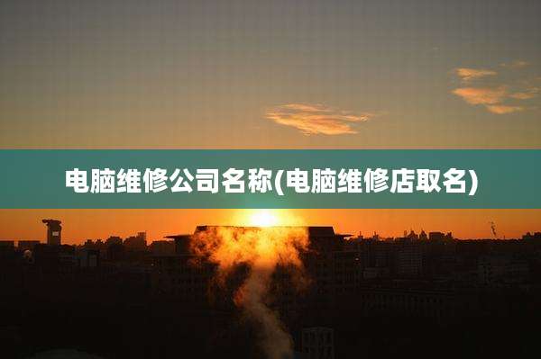 电脑维修公司名称(电脑维修店取名)