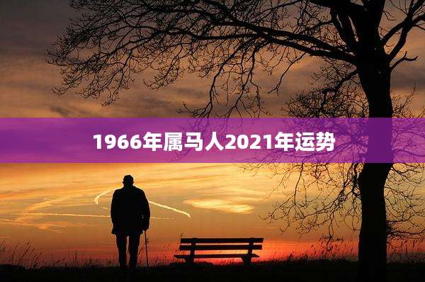 1966年属马人2021年运势