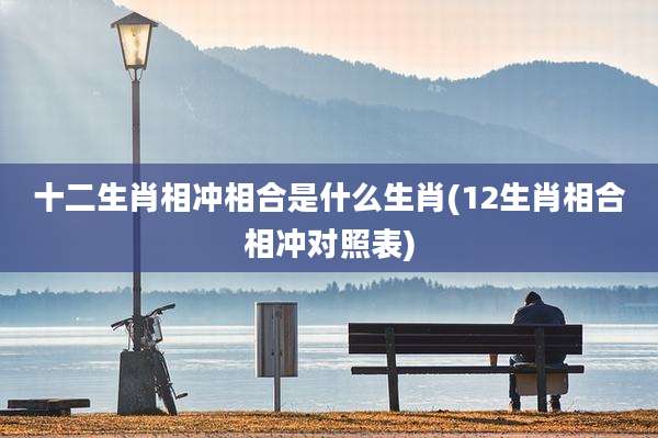 十二生肖相冲相合是什么生肖(12生肖相合相冲对照表)