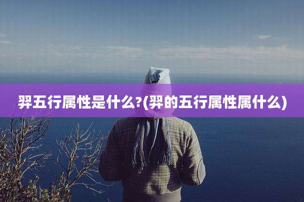 羿五行属性是什么?(羿的五行属性属什么)