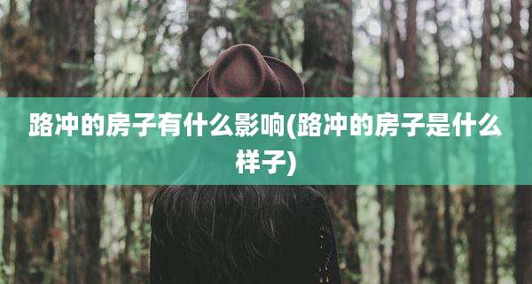 路冲的房子有什么影响(路冲的房子是什么样子)