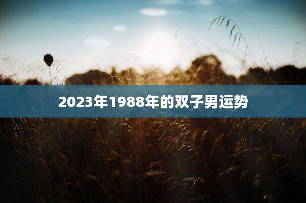 2023年1988年的双子男运势