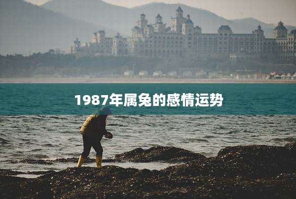 1987年属兔的感情运势