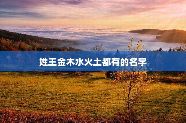 姓王金木水火土都有的名字