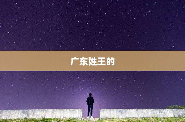 广东姓王的