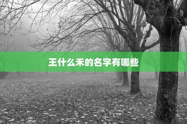 王什么禾的名字有哪些