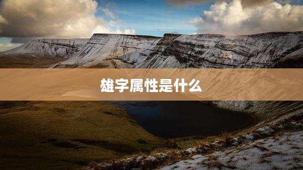 雄字属性是什么