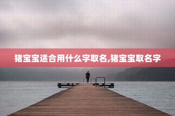猪宝宝适合用什么字取名,猪宝宝取名字