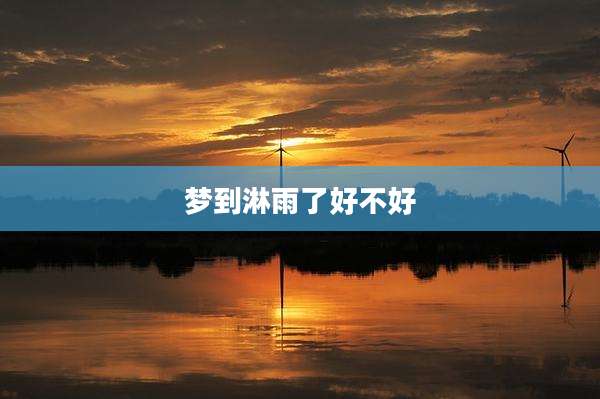 梦到淋雨了好不好