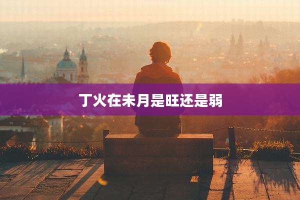 丁火在未月是旺还是弱