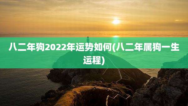 八二年狗2022年运势如何(八二年属狗一生运程)