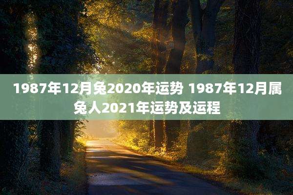 1987年12月兔2020年运势 1987年12月属兔人2021年运势及运程