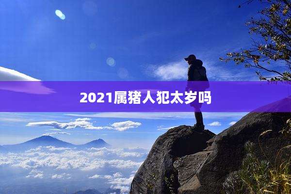 2021属猪人犯太岁吗