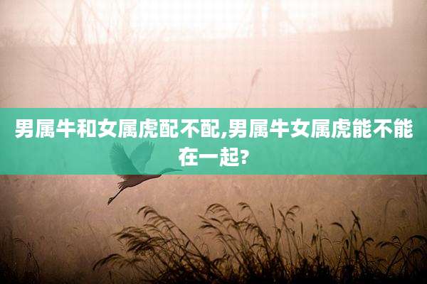 男属牛和女属虎配不配,男属牛女属虎能不能在一起?