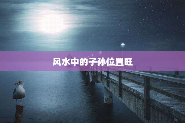 风水中的子孙位置旺