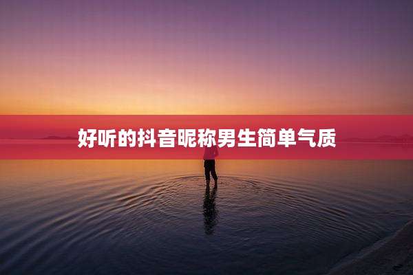 好听的抖音昵称男生简单气质