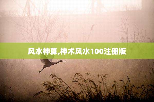 风水神算,神术风水100注册版