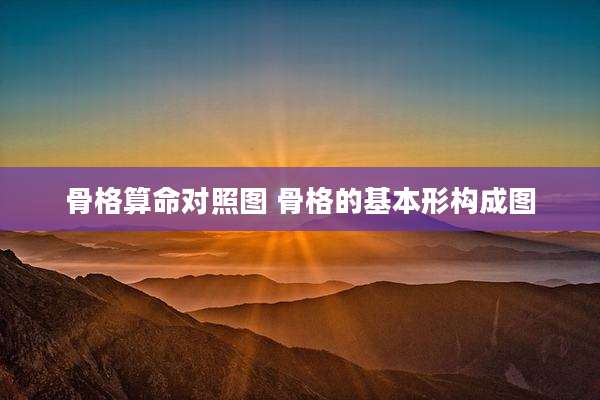骨格算命对照图 骨格的基本形构成图