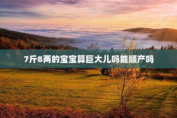 7斤8两的宝宝算巨大儿吗能顺产吗