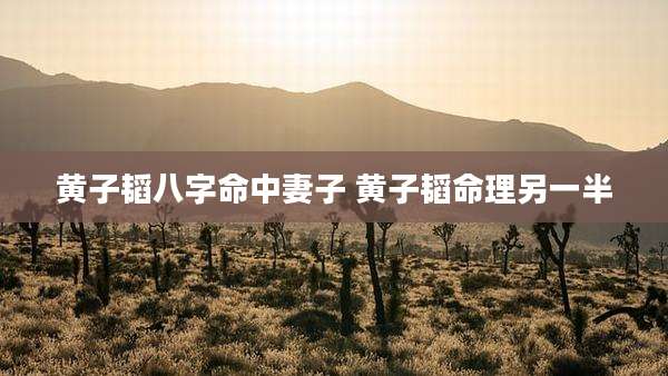 黄子韬八字命中妻子 黄子韬命理另一半