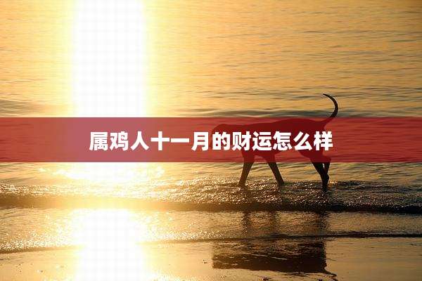 属鸡人十一月的财运怎么样