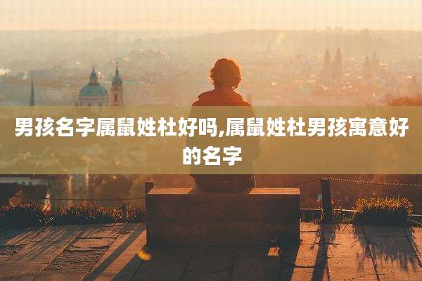 男孩名字属鼠姓杜好吗,属鼠姓杜男孩寓意好的名字