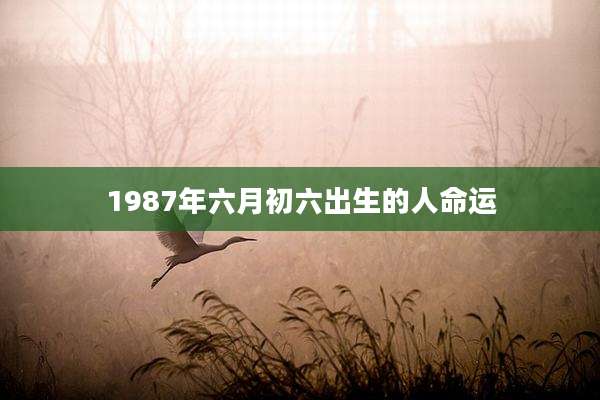 1987年六月初六出生的人命运