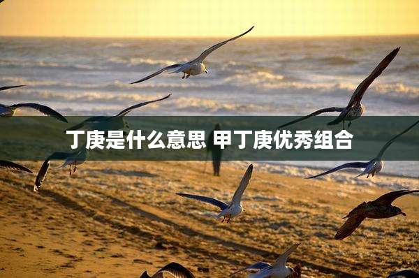 丁庚是什么意思 甲丁庚优秀组合