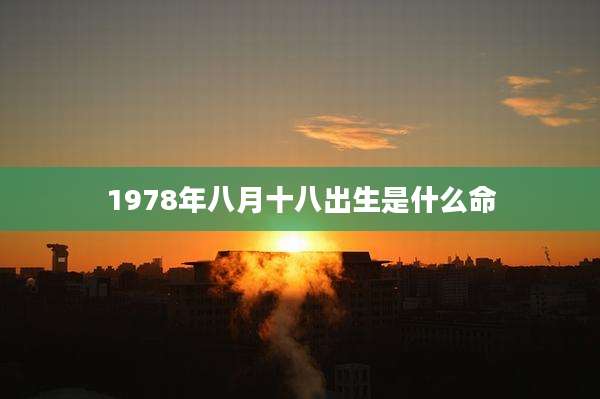 1978年八月十八出生是什么命