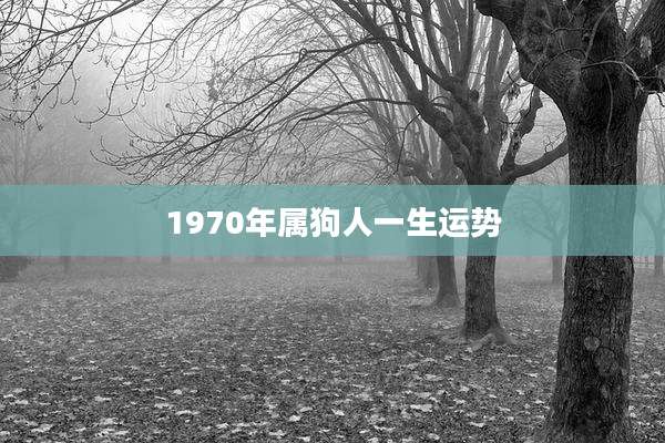 1970年属狗人一生运势