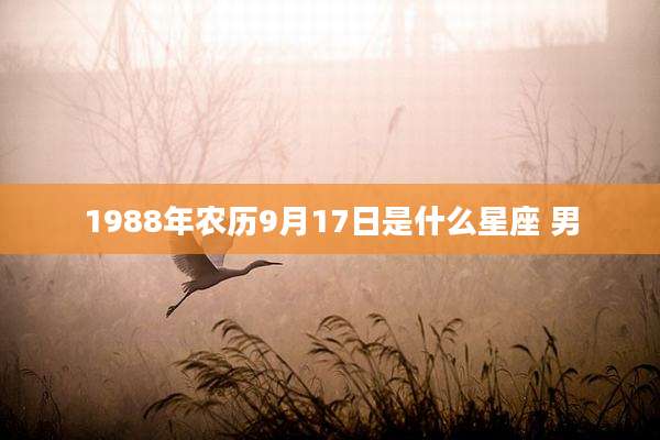 1988年农历9月17日是什么星座 男