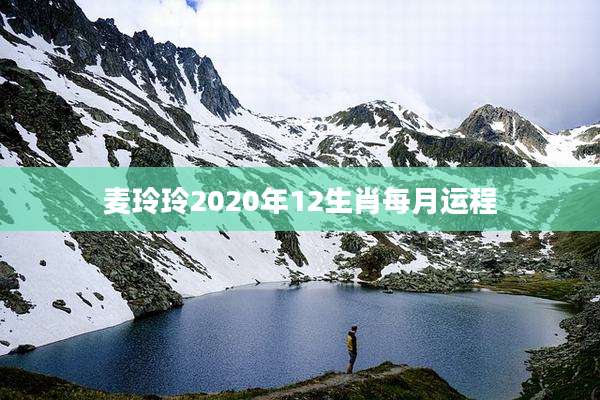 麦玲玲2020年12生肖每月运程