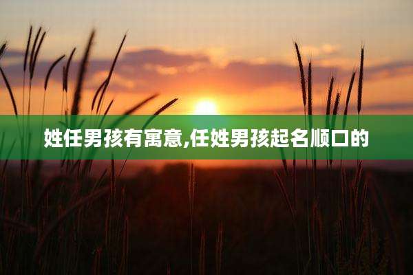 姓任男孩有寓意,任姓男孩起名顺口的