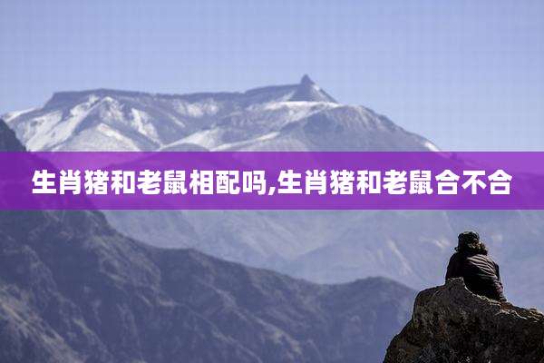 生肖猪和老鼠相配吗,生肖猪和老鼠合不合