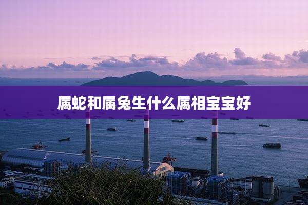 属蛇和属兔生什么属相宝宝好