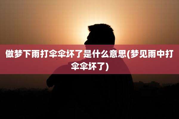 做梦下雨打伞伞坏了是什么意思(梦见雨中打伞伞坏了)