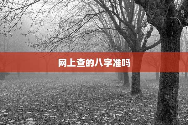 网上查的八字准吗