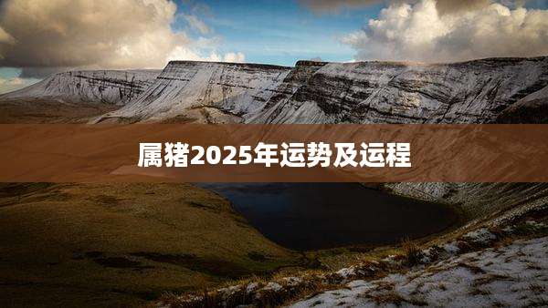 属猪2025年运势及运程