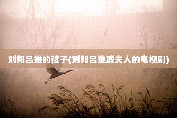 刘邦吕雉的孩子(刘邦吕雉戚夫人的电视剧)