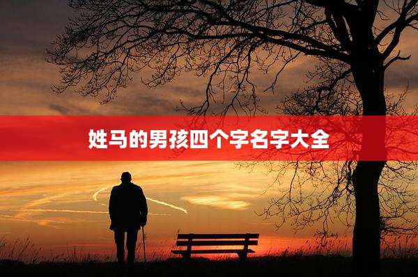姓马的男孩四个字名字大全
