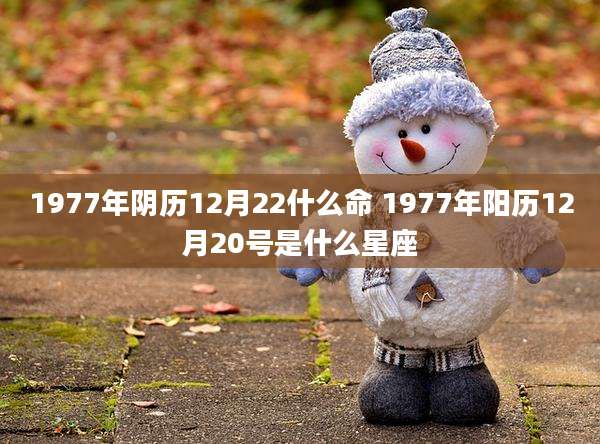1977年阴历12月22什么命 1977年阳历12月20号是什么星座