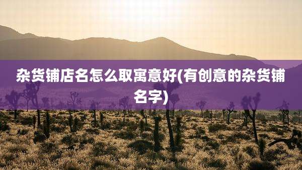杂货铺店名怎么取寓意好(有创意的杂货铺名字)