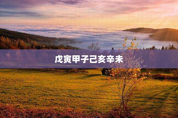 戊寅甲子己亥辛未