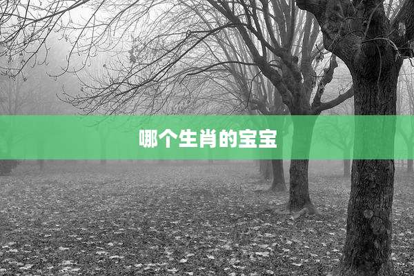 哪个生肖的宝宝