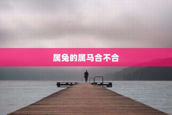 属兔的属马合不合