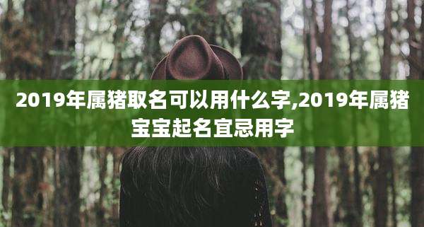 2019年属猪取名可以用什么字,2019年属猪宝宝起名宜忌用字