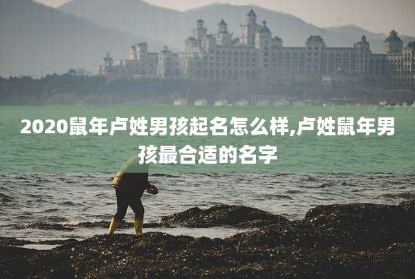 2020鼠年卢姓男孩起名怎么样,卢姓鼠年男孩最合适的名字